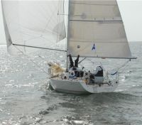 Rowen Composite Projection 762