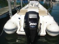 Black Fin Elegance 23