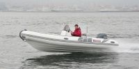 Narwhal H 520