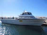 Ocqueteau Cliper Octon