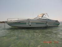 Maxum Infinity Lazer 265