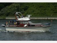 Imperator 41