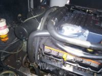 Meta Strongall Meta Dalu