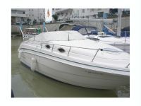 Monterey Cruisser 262