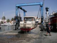 Royal Cruiser Adler 31