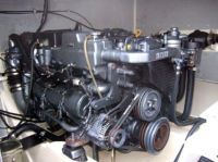 50' Warwick Sports Cruiser