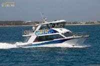 14.6M Cougar Cat 1995