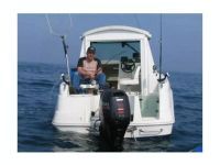 Quicksilver 530 Timonier