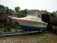 Pro Line Walk Around (Volvo Diesel)