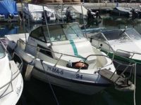 Pesca Paseo Sunbird Swl200