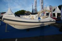 Black Fin Elegance 20