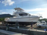 Cougar Cat 12M X 4.2M Launched In 2001