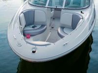 31 Carver Sports Cruiser (Bayliner, Searay, Mustan