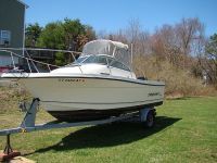 Bayliner Trophy Pro