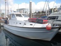 Cygnus Marine Aralia