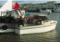 Eider Sterne 600