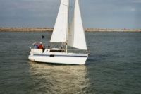 Wrighton Biloup 77 Nr