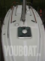 Wrighton Bi-Loup 765