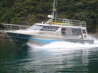 12M Jet Powered Monohull Water Taxi - Dive Charter