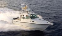 Boston Whaler 2013