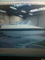 Four Winns Freedom 195