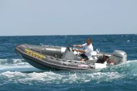 Narwhal 480