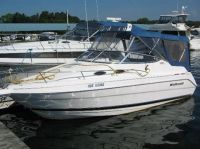 Wellcraft / 2400 Martinique