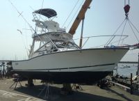 Carolina Classic (Diesel Power! 550 Hours!)