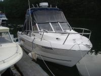 Campion Explorer 542