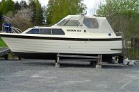Ramin 785