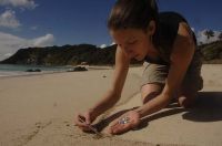 Allan Payne, Tasman Sea Bird