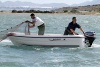 Quicksilver 360 Fish Incl Trailer