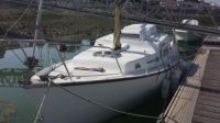 Callegari 330 Alcon