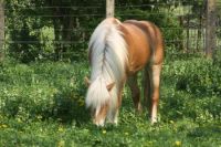 Te Koop . B.F G Tourboot - Of Ruilen Tegen Rubber