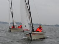 Robuuste Polyvalk, Goed Onderhouden, Prima Te Zeil