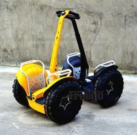 Freego Gyro Standard