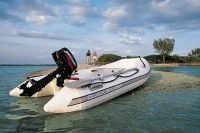 Quicksilver 310