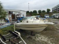 Caravelle Sea Hawk 230 Walk Around Ob