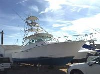 Cabo Rico 35 Express Tower