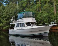 Mainship 390" Trawle