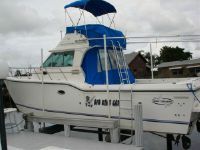 Baha King Cat Flybridge