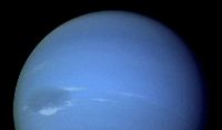 Neptune 460