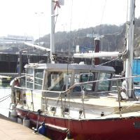 Banjer 37 (Available)