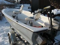 Visboot Incl. Trailer En Bb Motor Te Koop (Ook Los